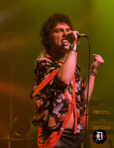 Greta Van Fleet Frontman